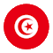 Drapeau TN